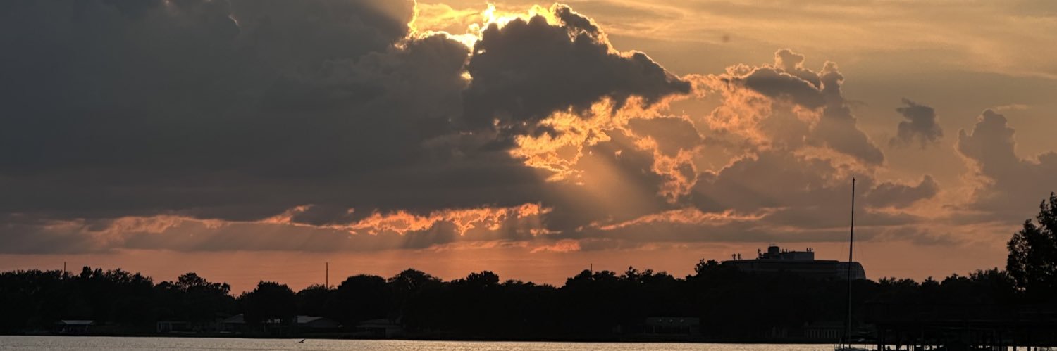 buzzaard's profile banner image