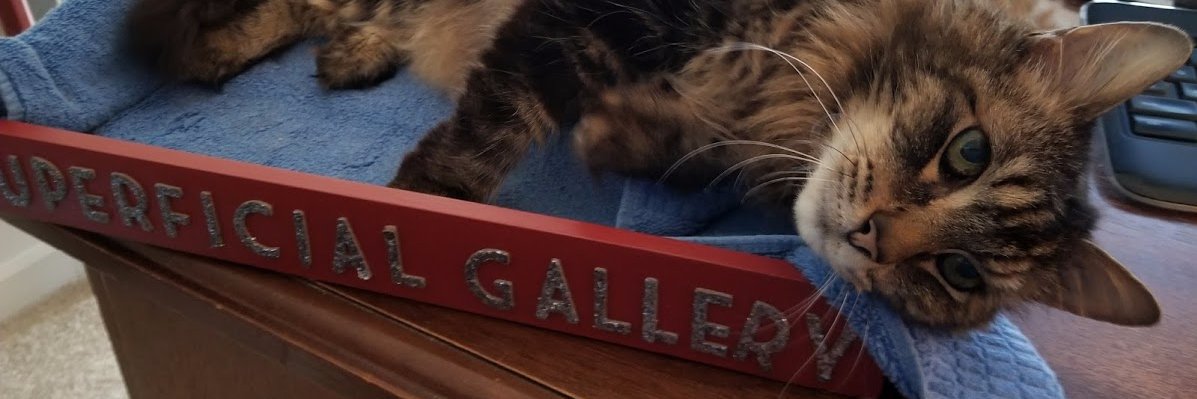 Acadia Einstein banner