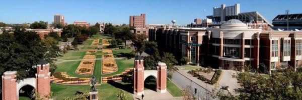 ElderSquirrel Profile Banner