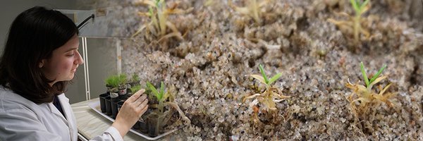 GuelphTurf Profile Banner