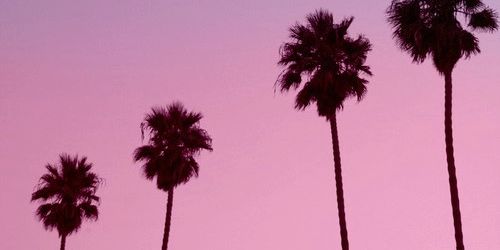 PauChabrol's profile banner image