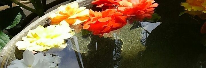lflower1220's profile banner image