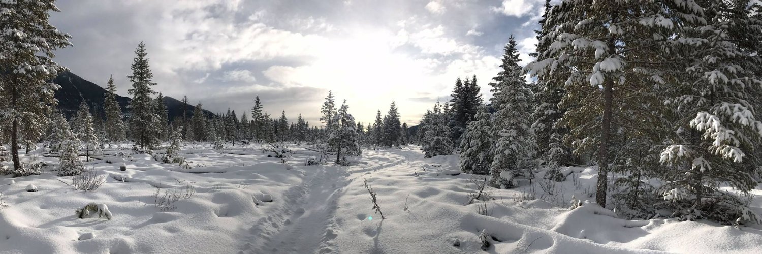 Dr. Alex Bruton banner