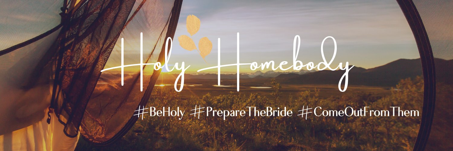 HolyHomebody's profile banner image