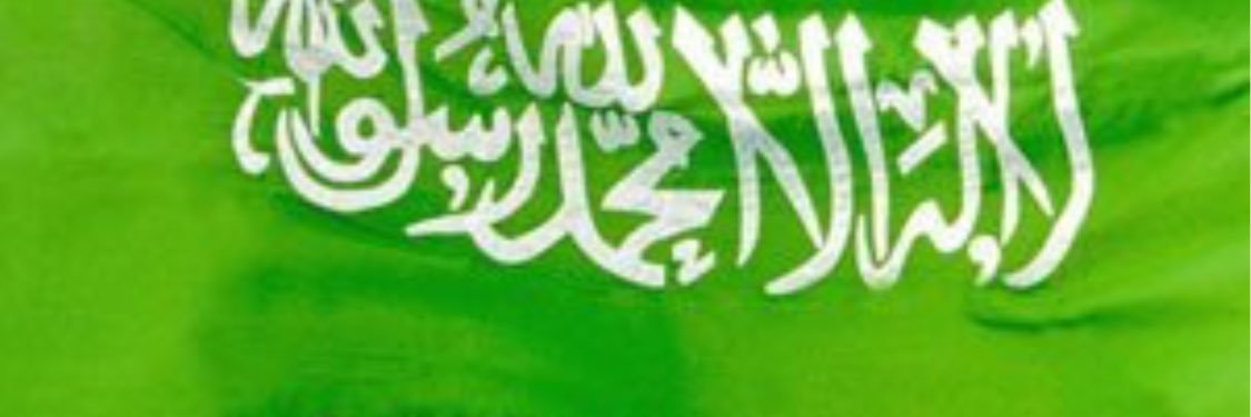 ali103281's profile banner image