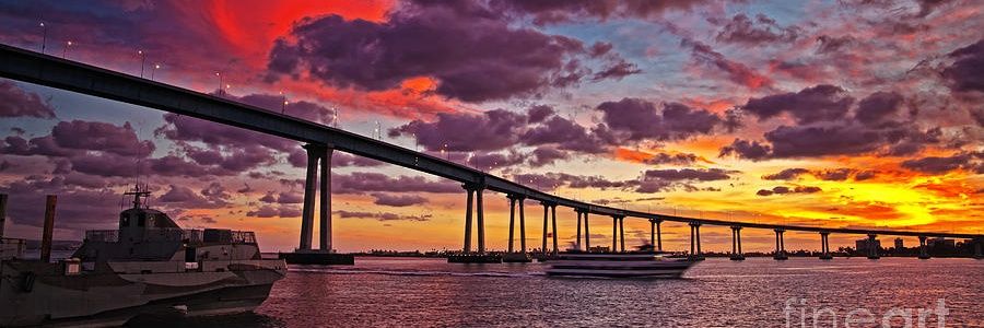 kiddsurfer's profile banner image