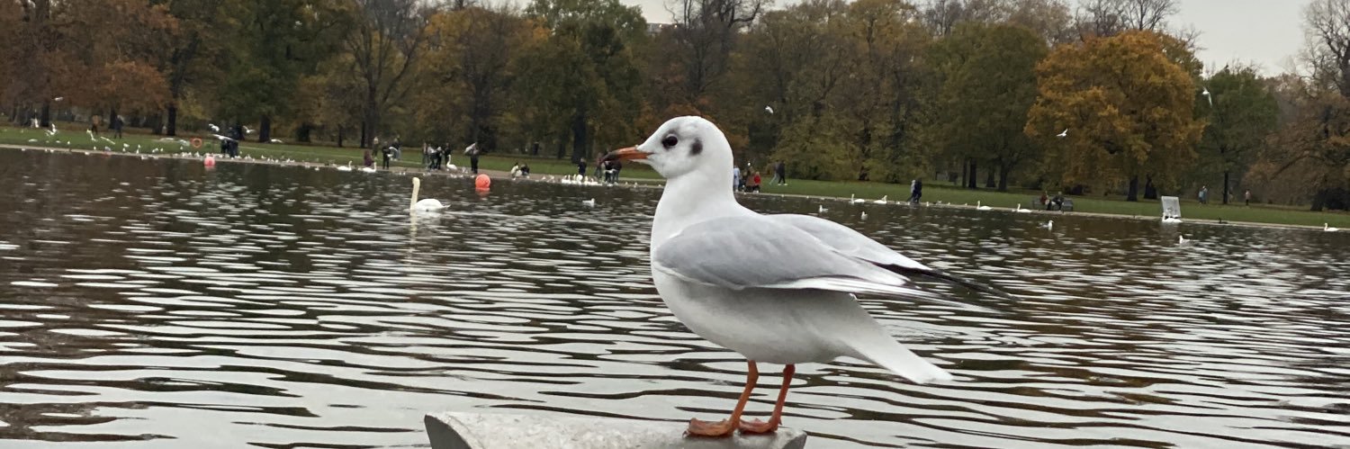 Dr_3tibi's profile banner image