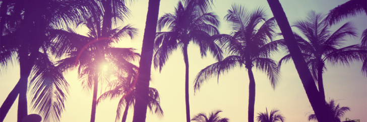 Poniendonoslas_'s profile banner image