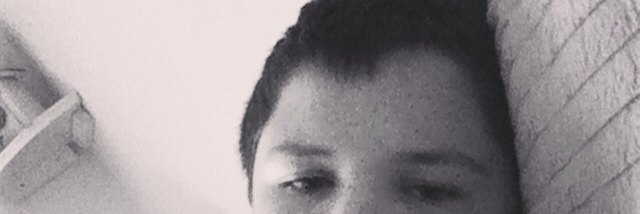 CalebCalebtrees's profile banner image