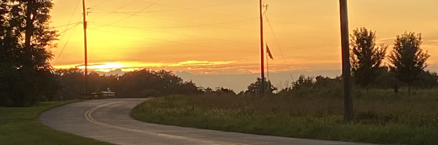WhitfieldWyatt's profile banner image