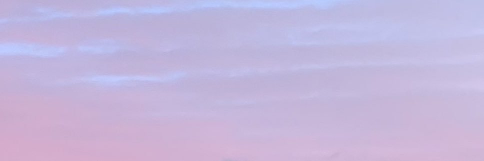 cindyzhao__'s profile banner image