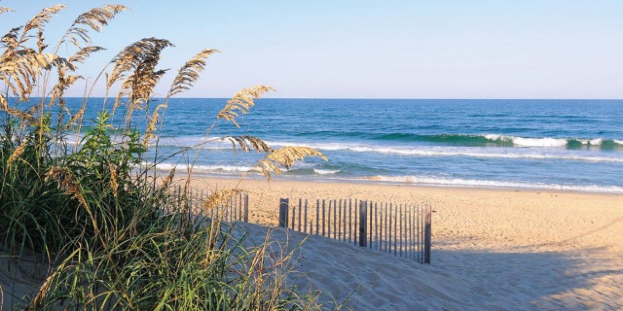 Margaret Knapik banner