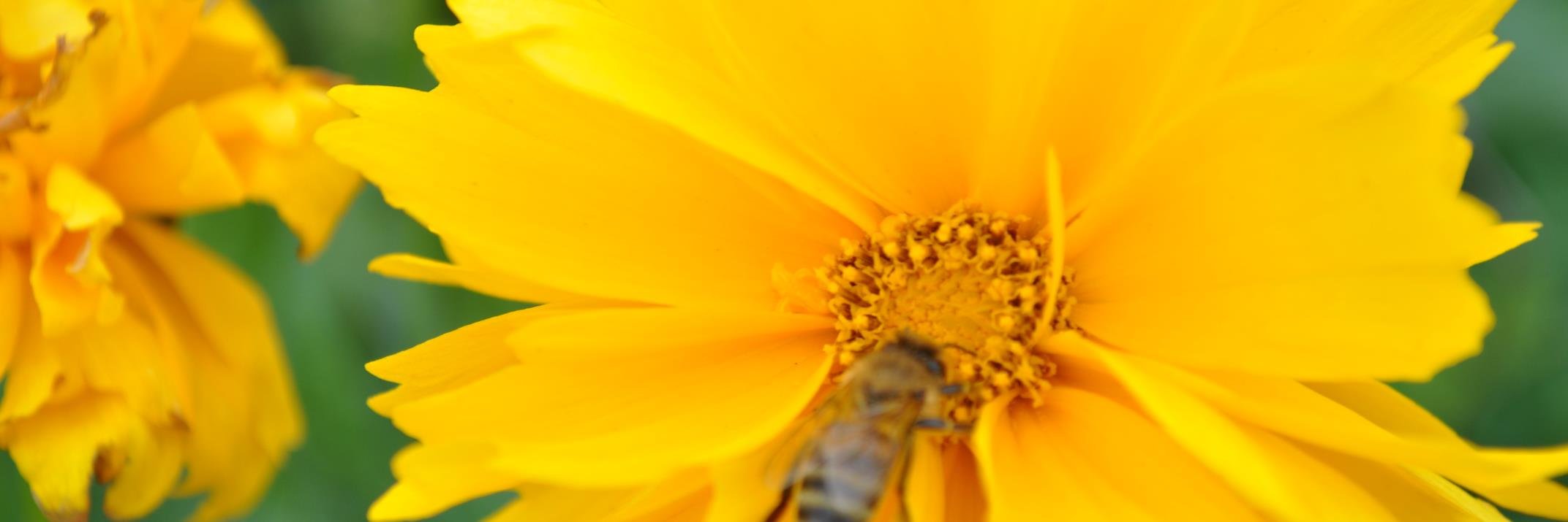lsmw's profile banner image