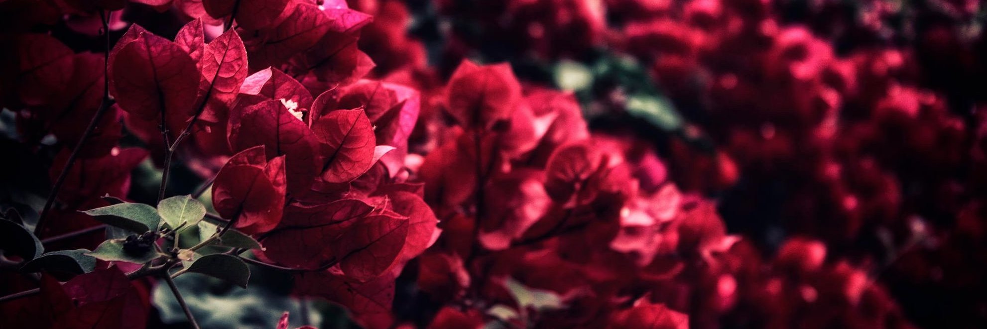 retouchandshoot's profile banner image