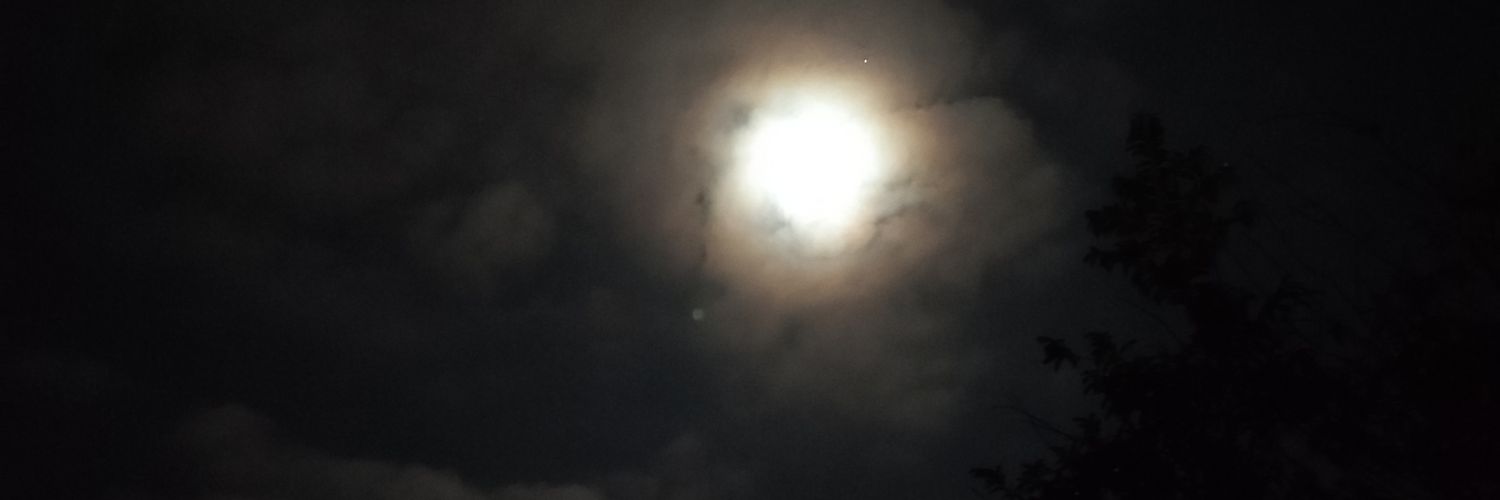 robertomf13's profile banner image