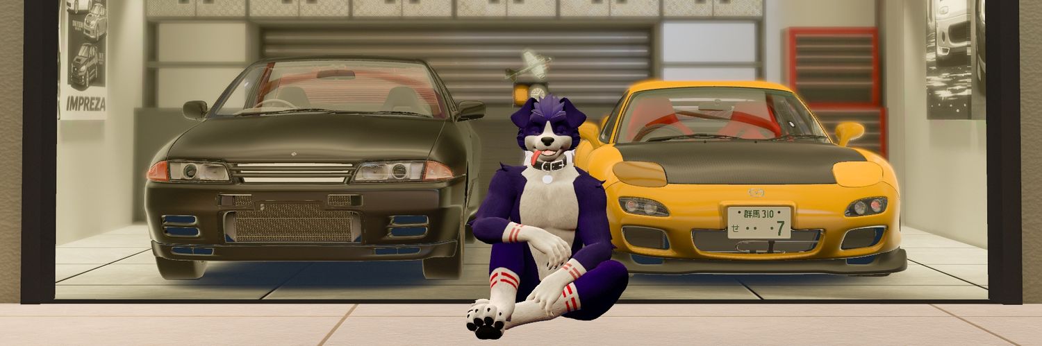 TilotCollie's profile banner image