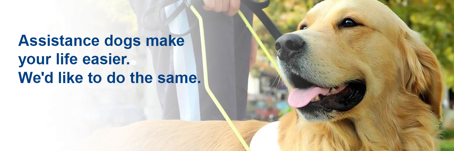 MyAssistanceDog's profile banner image