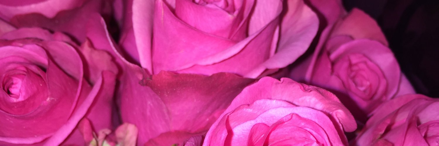 MariaStowe4's profile banner image