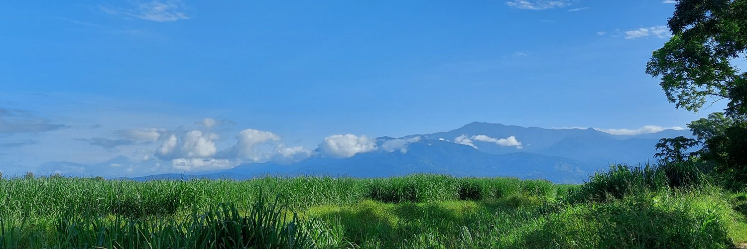 hilerio538's profile banner image