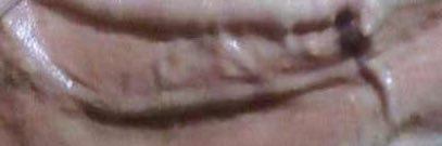 Tchitchy banner