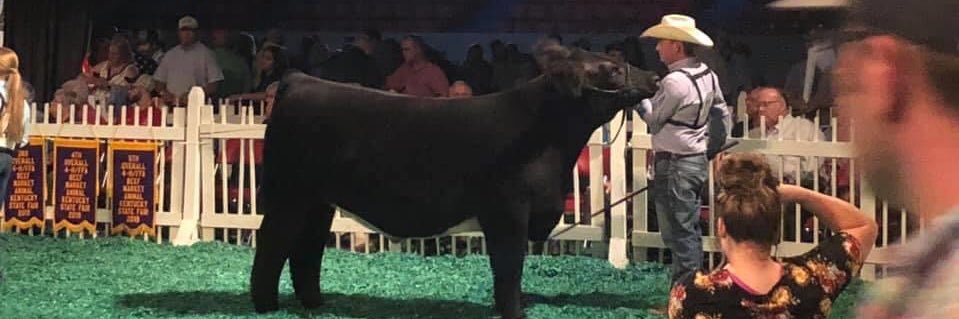 Wanda Quiggins banner