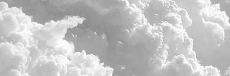 ozxa22's profile banner image