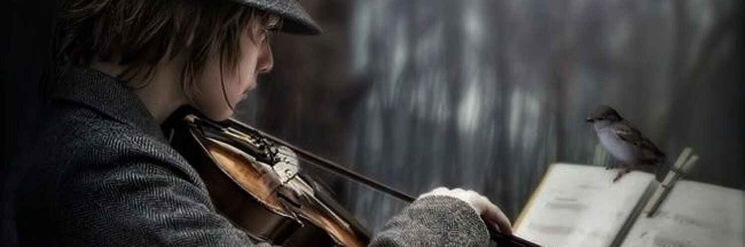 sary1886's profile banner image