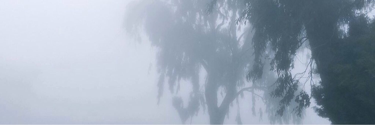 ke8119's profile banner image