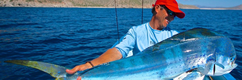 ReelFinatics® banner