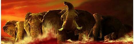 JC_Anniston's profile banner image