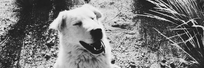 alexlarraya9's profile banner image