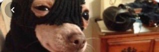 YourCousinsDad's profile banner image