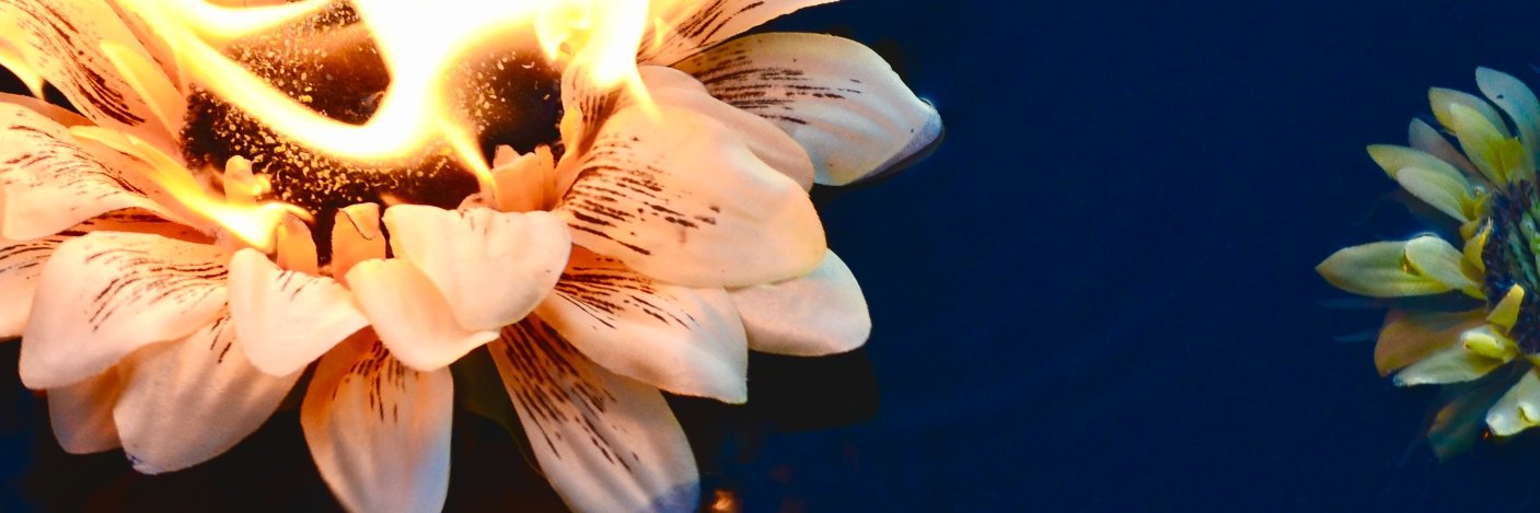 kimqueenking's profile banner image