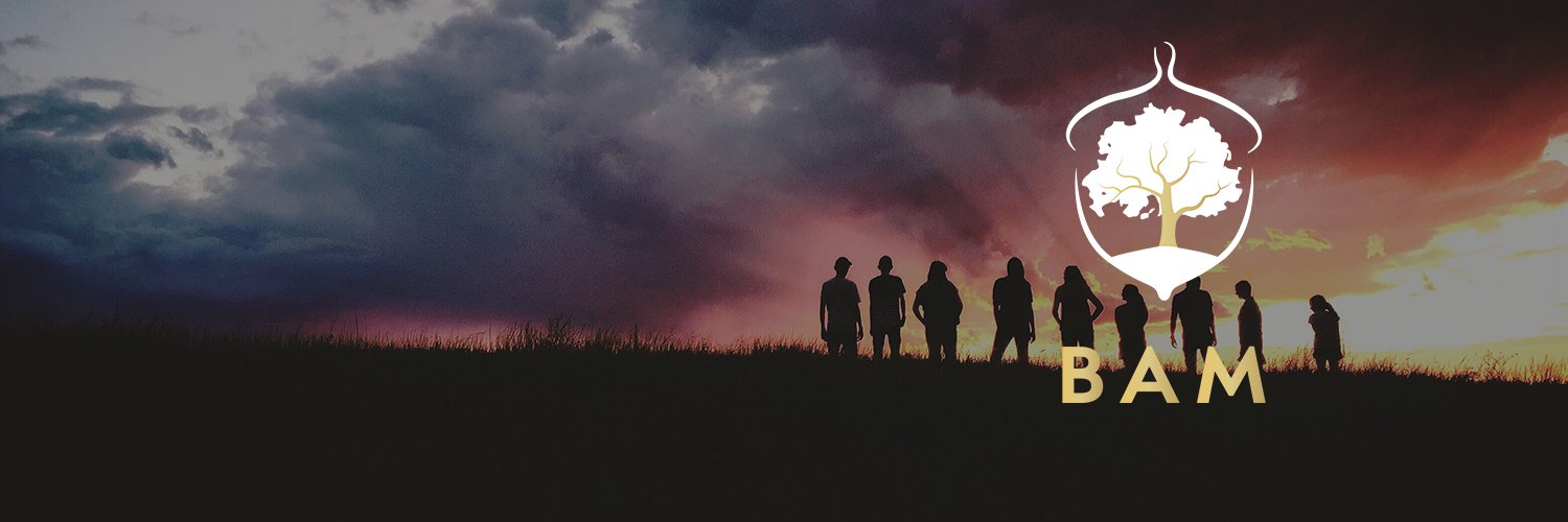 BAMGAMBIT's profile banner image