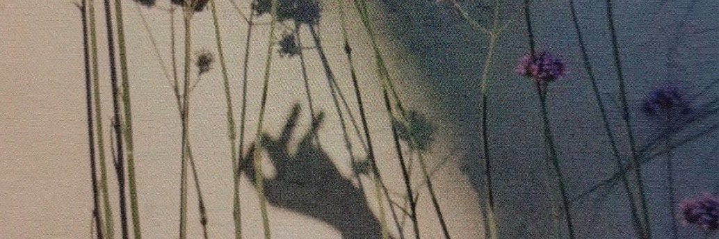 kkulqls's profile banner image