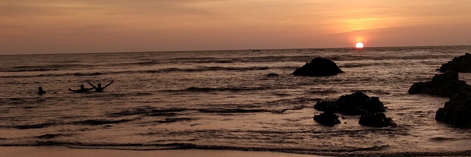 wizzard_harshit's profile banner image