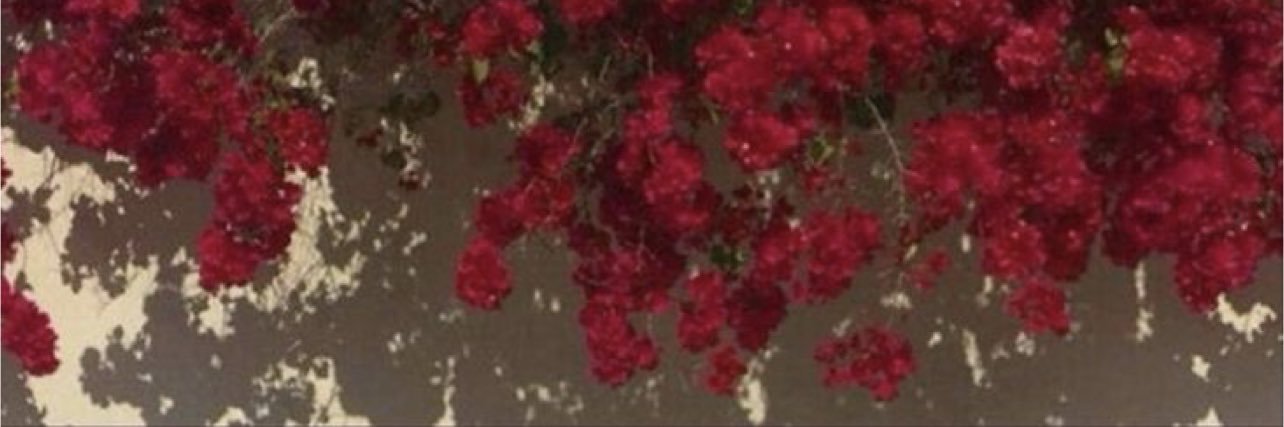 RehabMS_IT's profile banner image