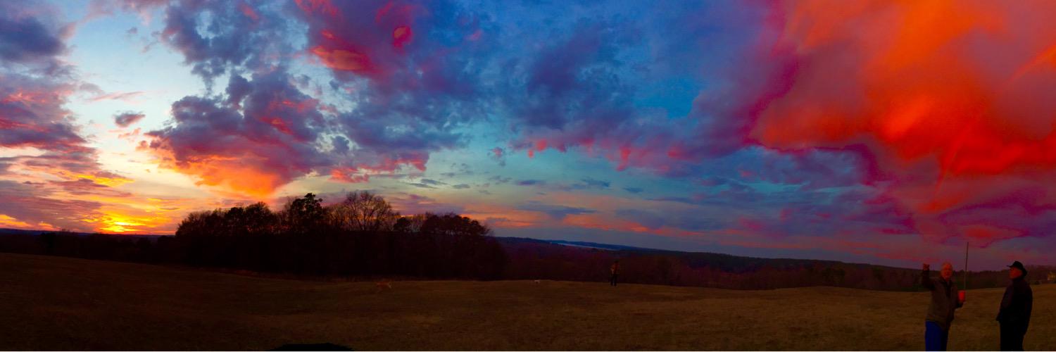 LizzyGerringer's profile banner image