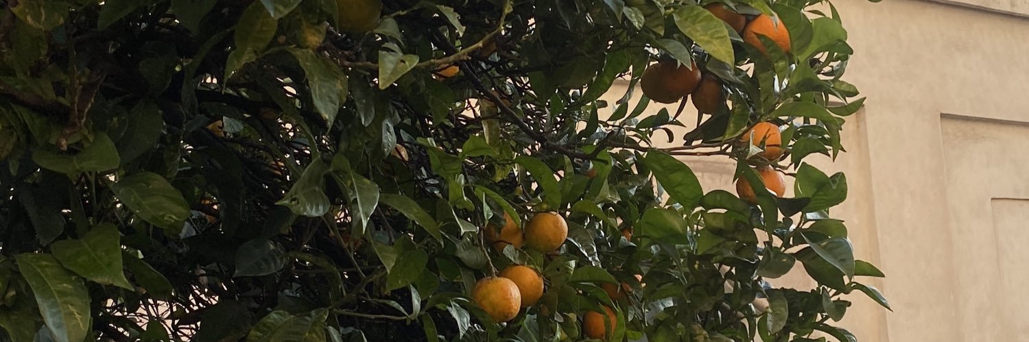 fridafiloteo's profile banner image