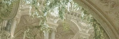 TLyrel's profile banner image