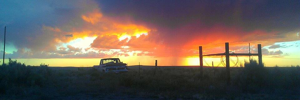 Sarah Sunshine Manning banner