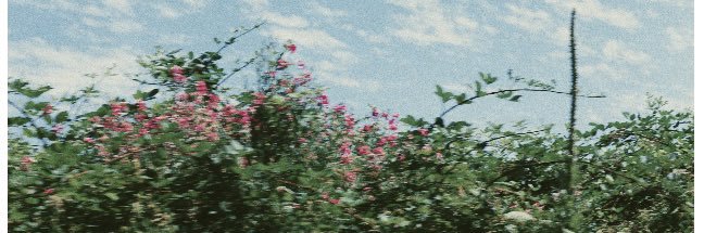 MarkClancy_'s profile banner image