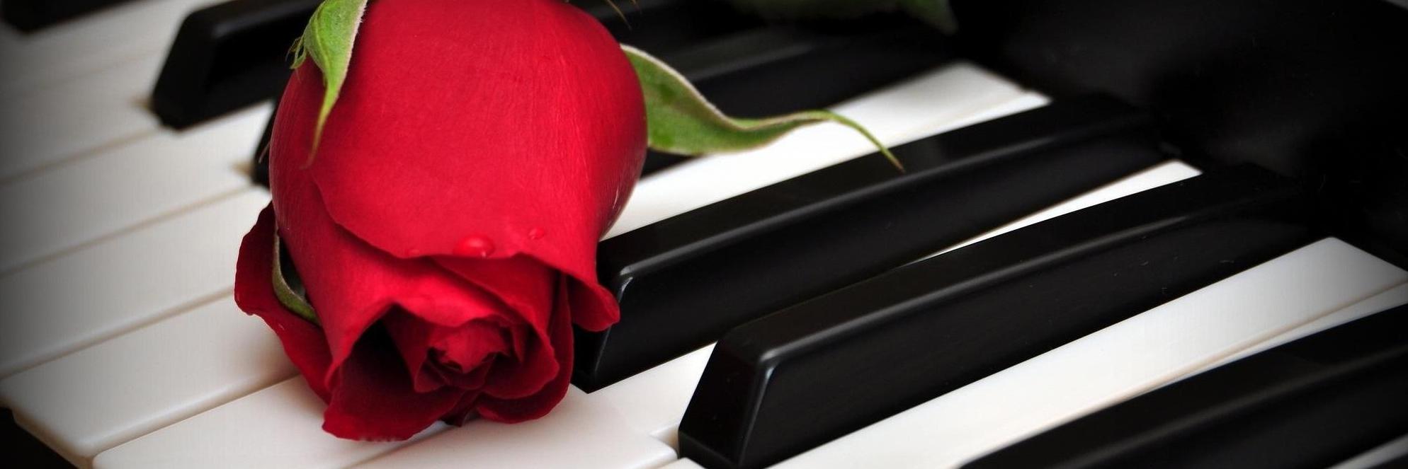 rockbelle21's profile banner image
