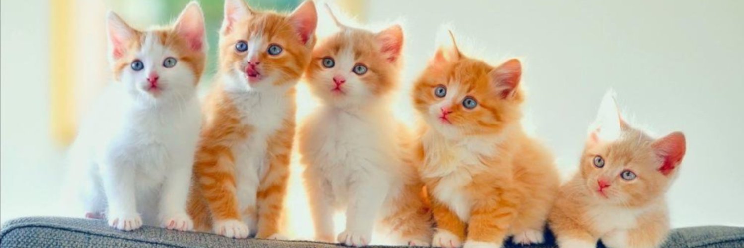 CandayLuna's profile banner image
