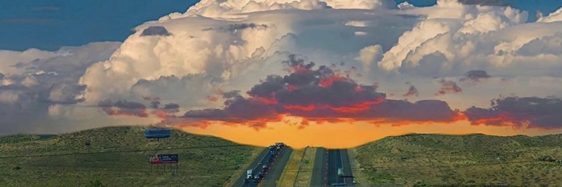 Bleeding Heart Liberal Marine banner