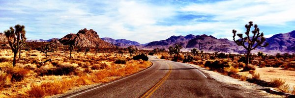 bartmolenda Profile Banner