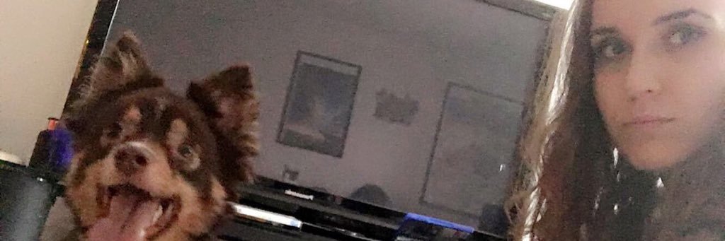 allisaurus13's profile banner image