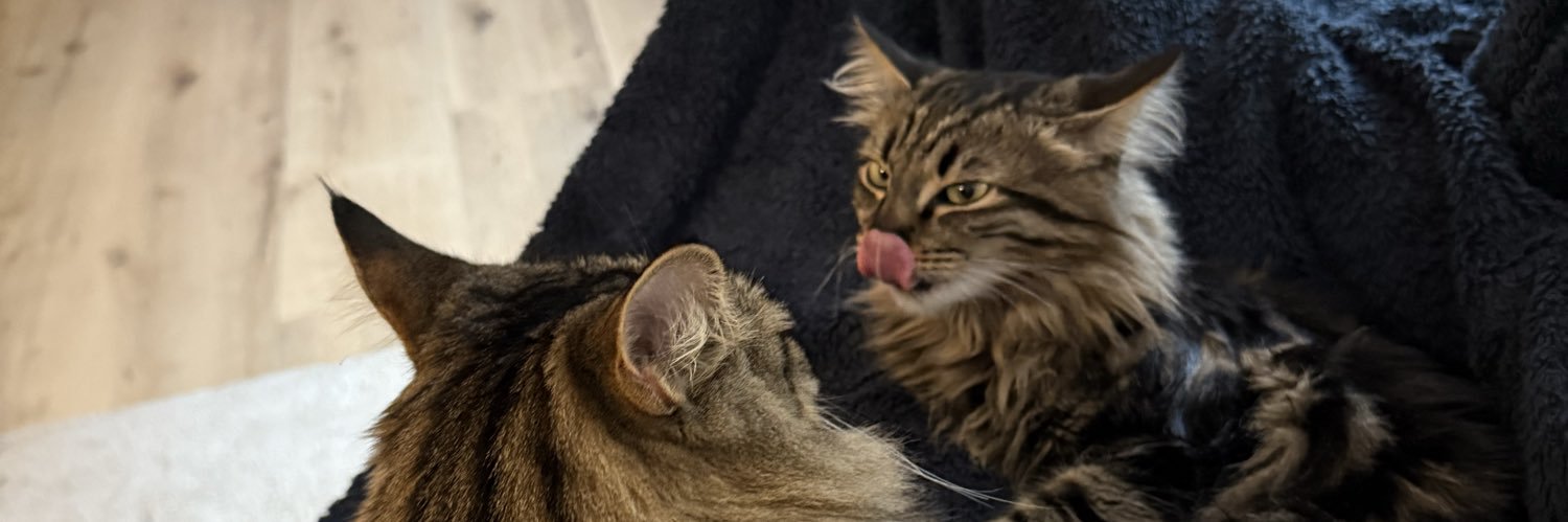 Derek Gee-West banner