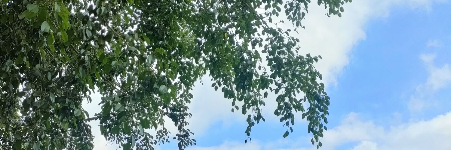 MenTvk's profile banner image