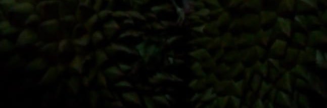 rafilrozi's profile banner image